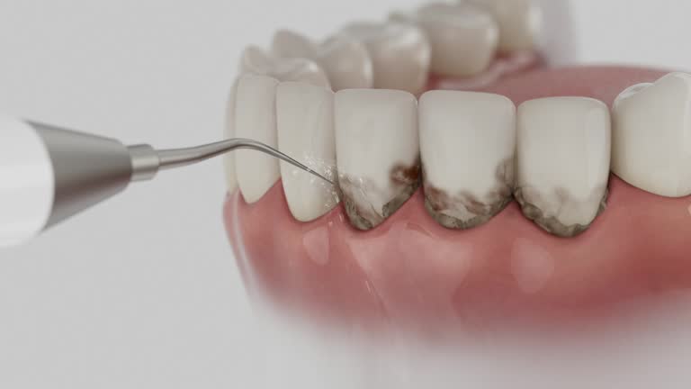 Reliable Dental contractor in Huntsville, TX by Dentist Open Now